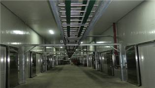 （寧夏）科技局給予本司技術人員王小軍、屈安民有機杏鮑菇高產技術創新表彰會的通報